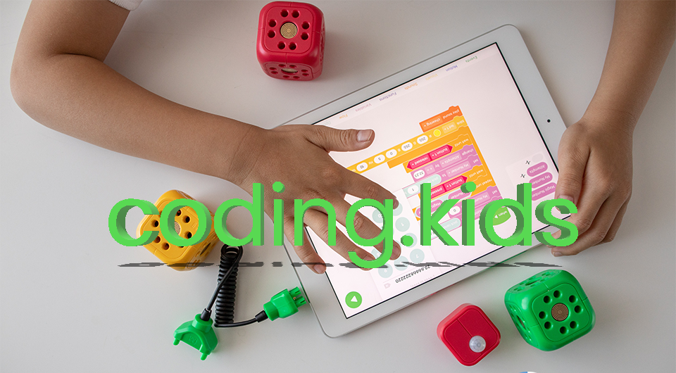 coding.kids - Die jungen Denker e.V